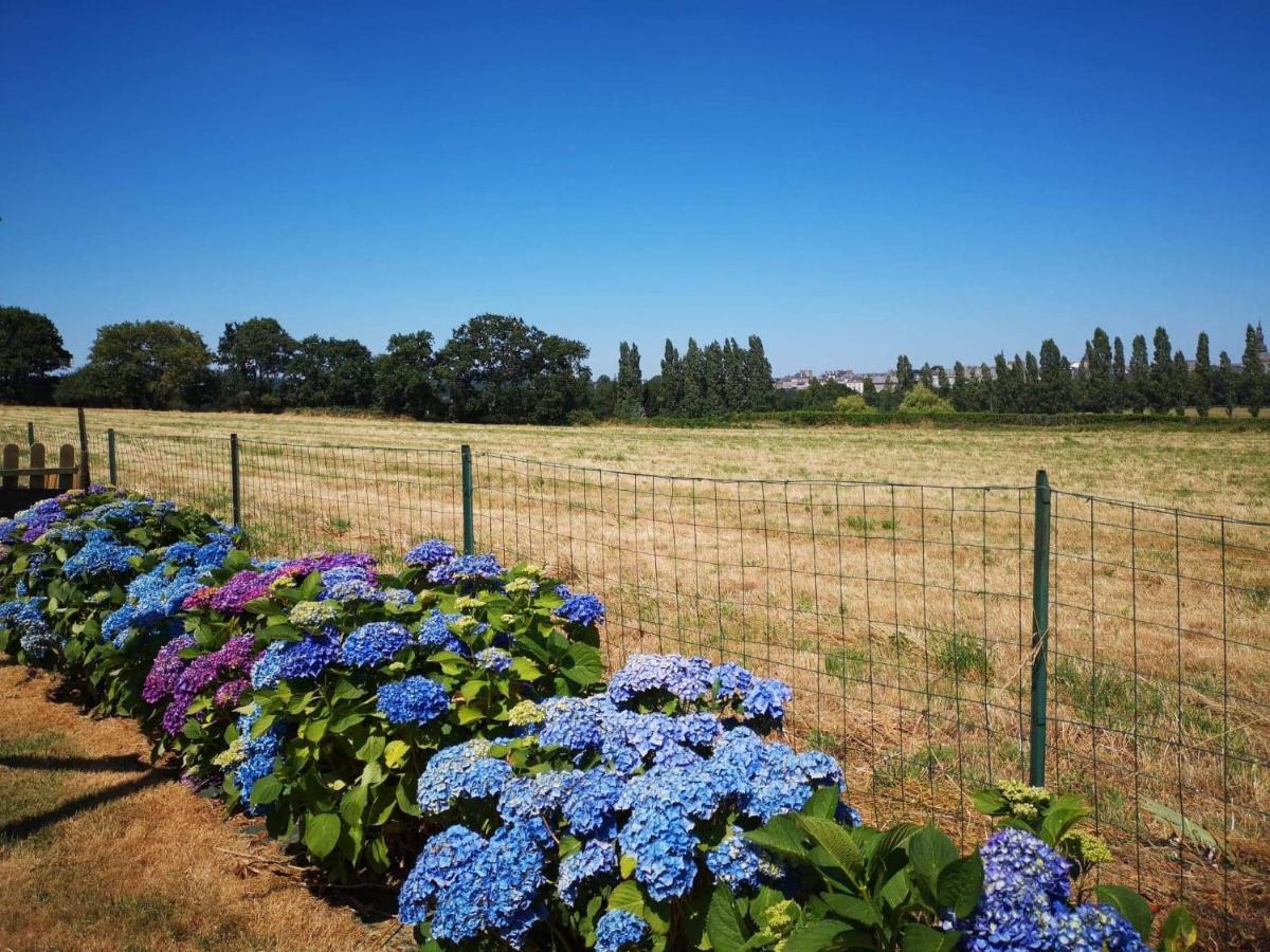 Apartament Le Cosy Lanvallay Zewnętrze zdjęcie